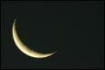 Click on one of the size names above to enlarge this image Click on one of the size names above to enlarge this image